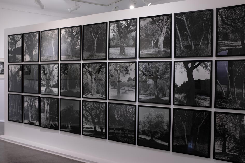 Ausstellung der Förderpreisträgerin Annette Frick, Museum Reinickendorf 2021