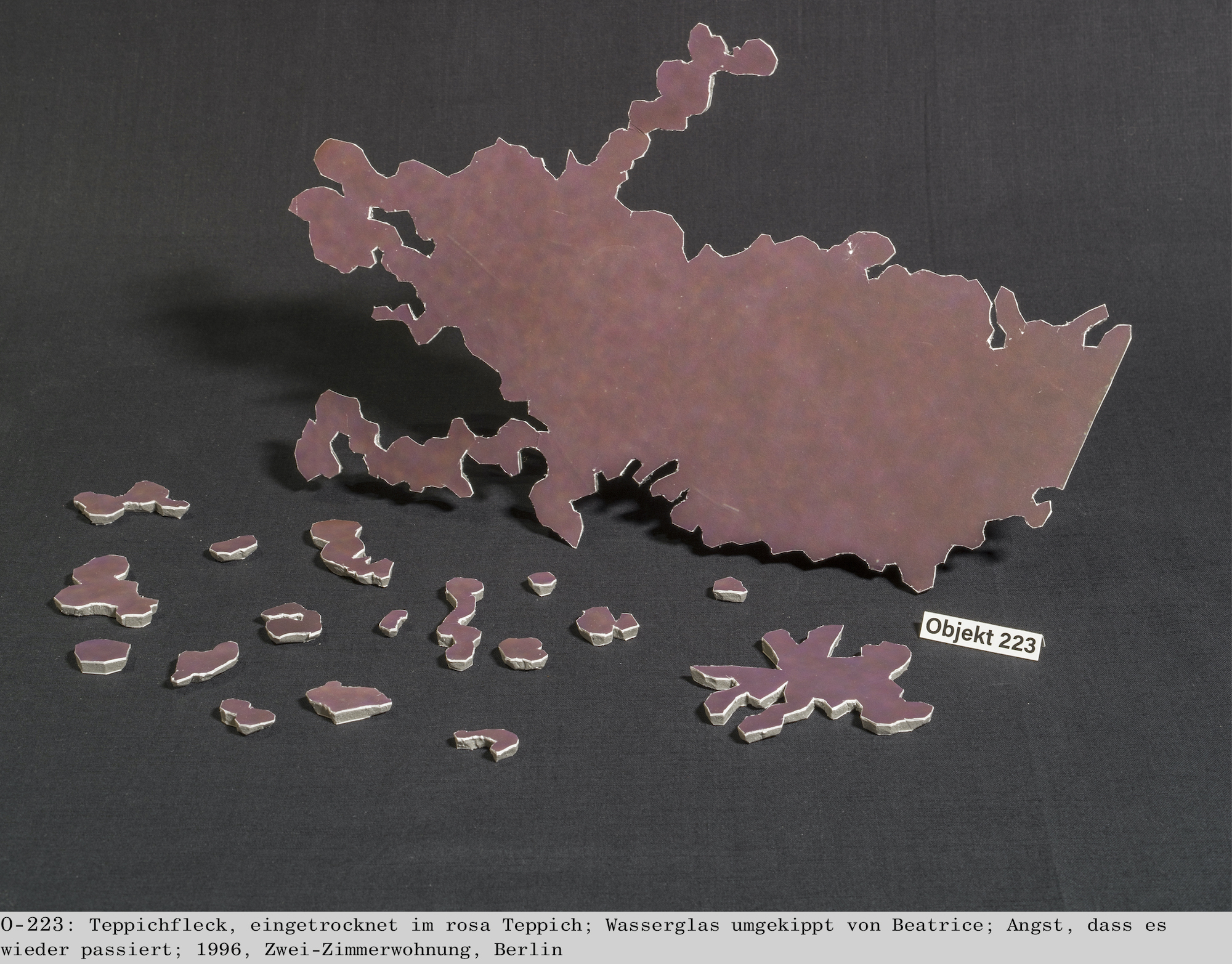 Beatrice Moumdjian, Forensic Excavations Inventory or The Total Deconstruction of an Armenian Family