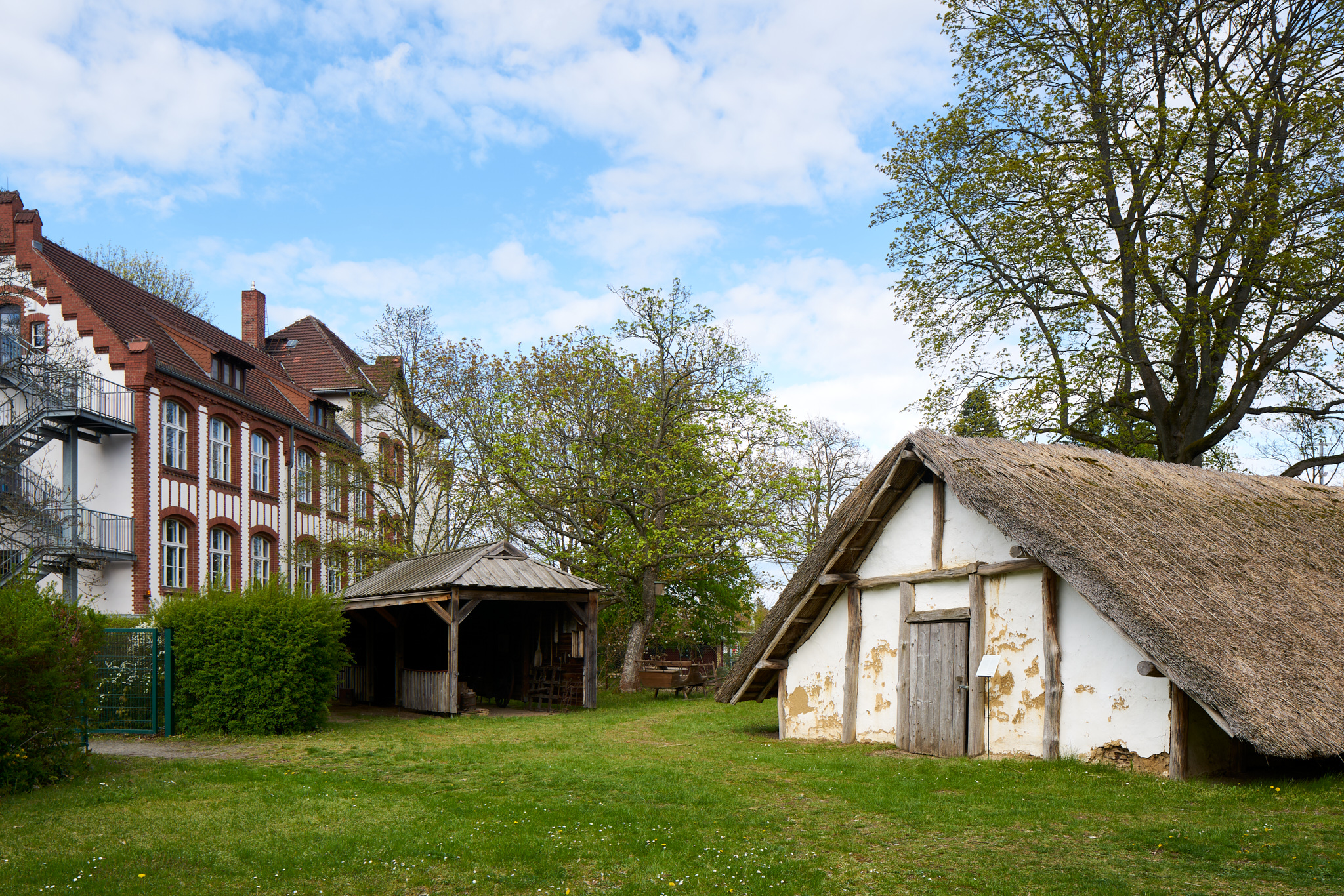 Olexandr Ieltsyn. Photo: Joe Clark
