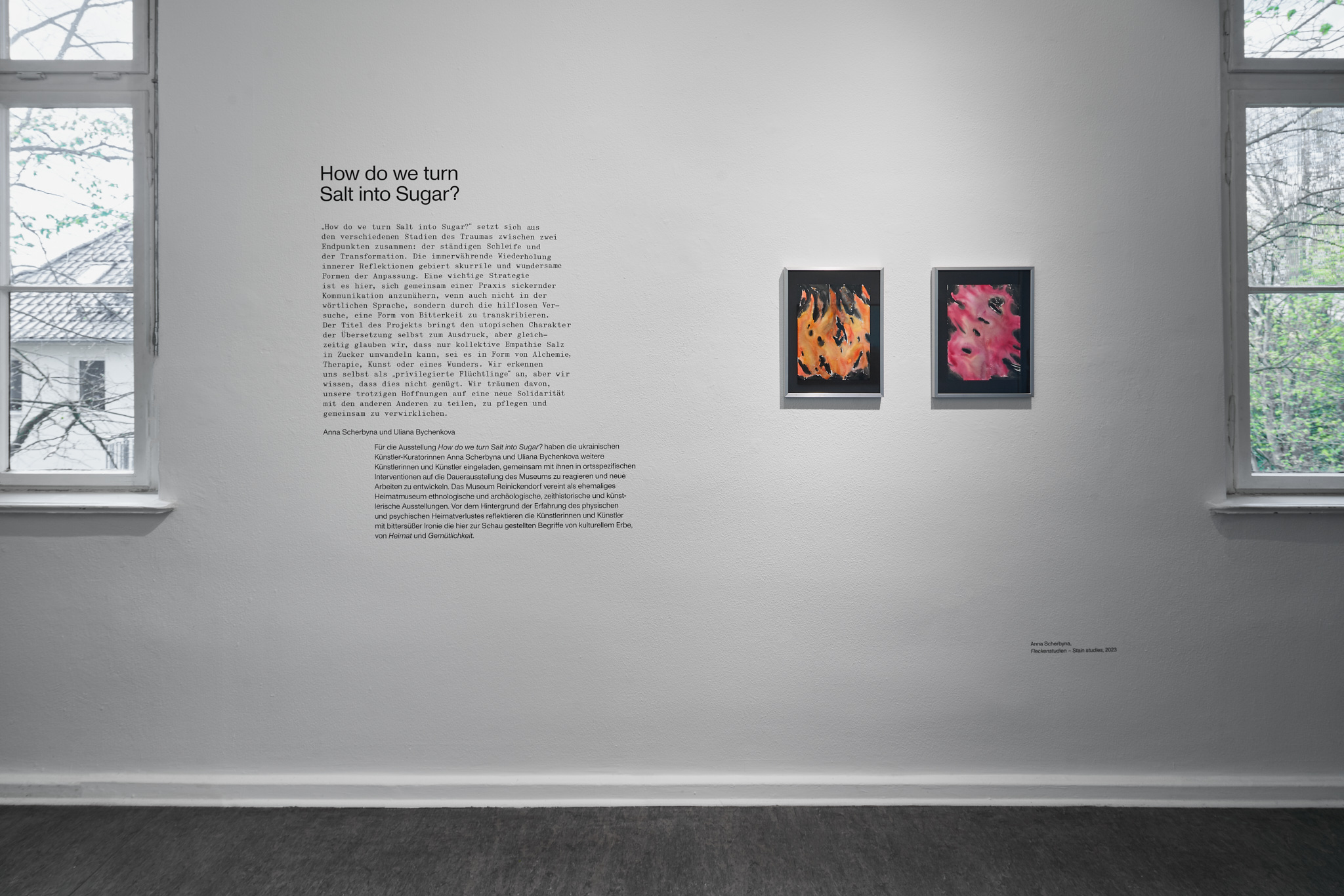 Anna Scherbyna. Photo: Joe Clark