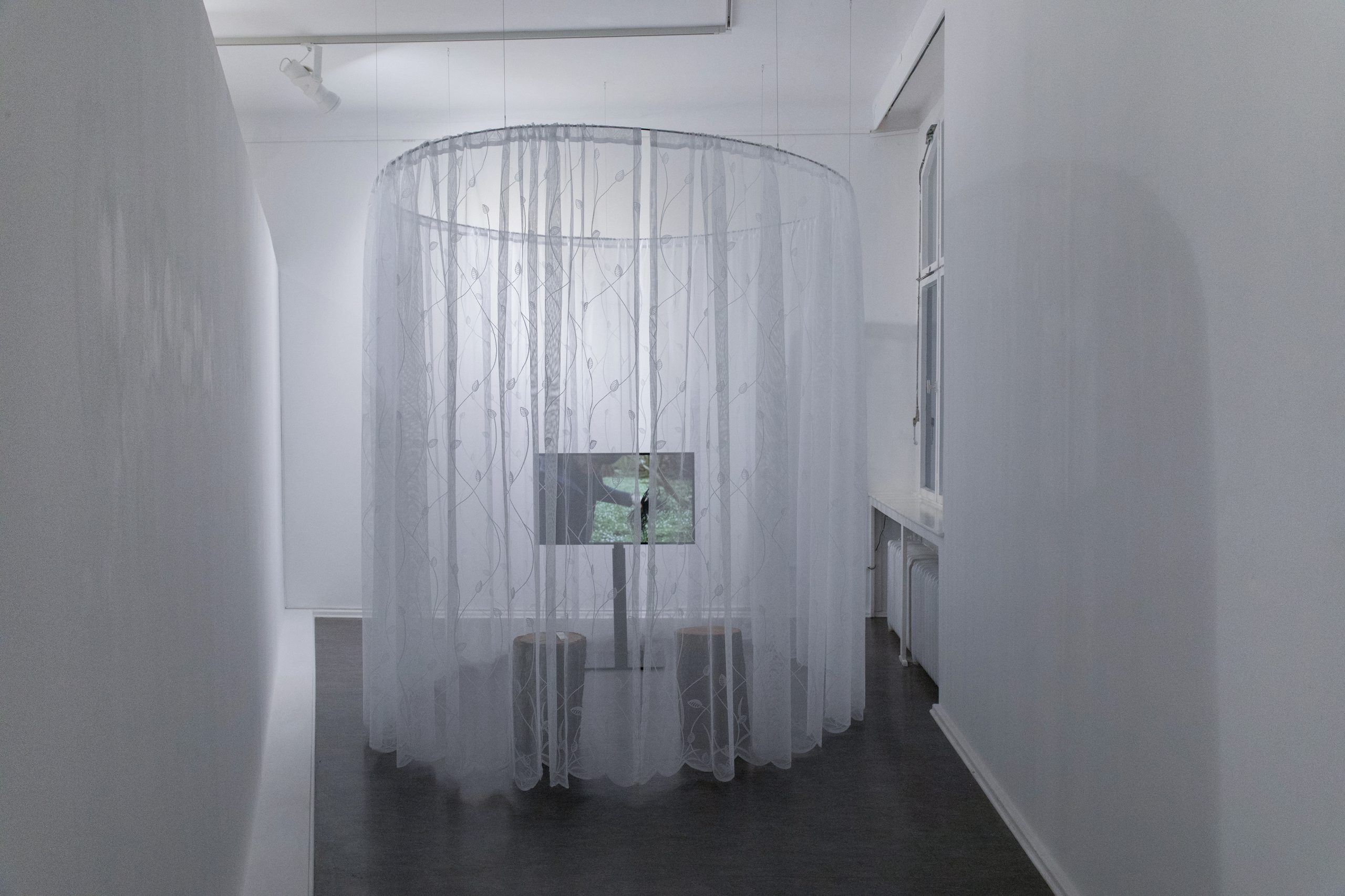 Rob Crosse, Wood for the Trees, 2023, HD Video (c) Silke Briel